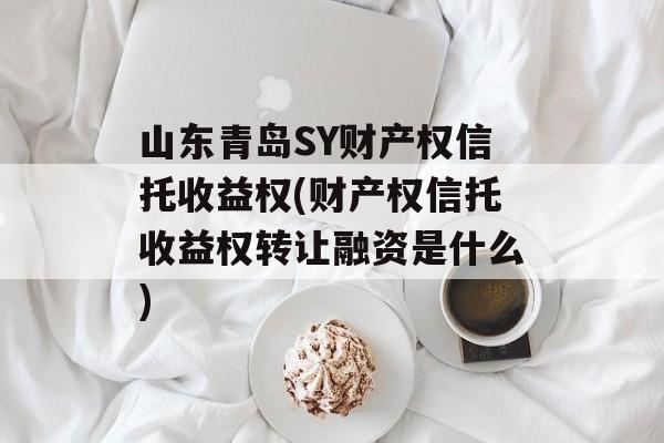 山东青岛SY财产权信托收益权(财产权信托收益权转让融资是什么)