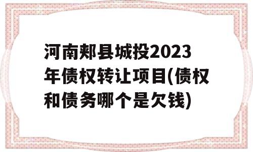 河南郏县城投2023年债权转让项目(债权和债务哪个是欠钱)