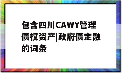 包含四川CAWY管理债权资产|政府债定融的词条