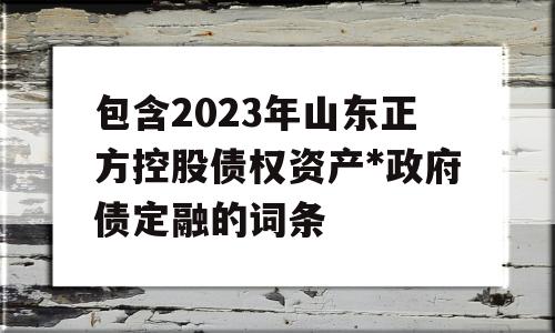 包含2023年山东正方控股债权资产*政府债定融的词条