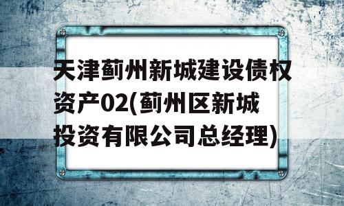 天津蓟州新城建设债权资产02(蓟州区新城投资有限公司总经理)