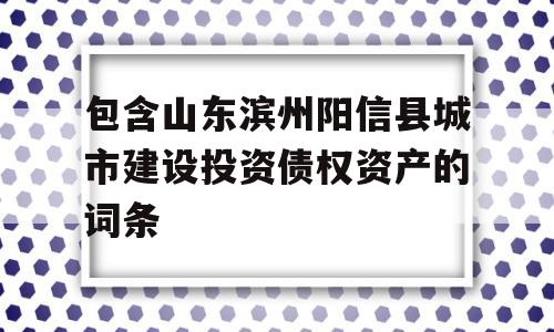 包含山东滨州阳信县城市建设投资债权资产的词条