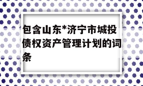 包含山东*济宁市城投债权资产管理计划的词条