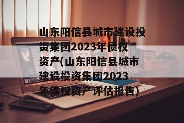 山东阳信县城市建设投资集团2023年债权资产(山东阳信县城市建设投资集团2023年债权资产评估报告)