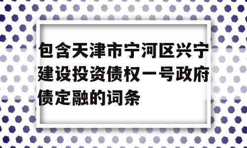 包含天津市宁河区兴宁建设投资债权一号政府债定融的词条