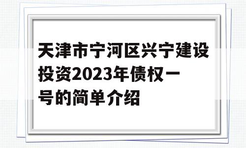 天津市宁河区兴宁建设投资2023年债权一号的简单介绍