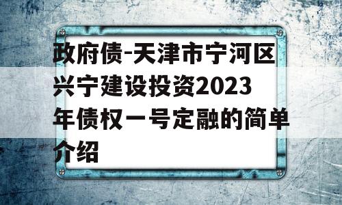 政府债-天津市宁河区兴宁建设投资2023年债权一号定融的简单介绍