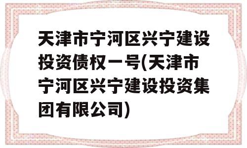 天津市宁河区兴宁建设投资债权一号(天津市宁河区兴宁建设投资集团有限公司)