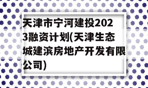 天津市宁河建投2023融资计划(天津生态城建滨房地产开发有限公司)