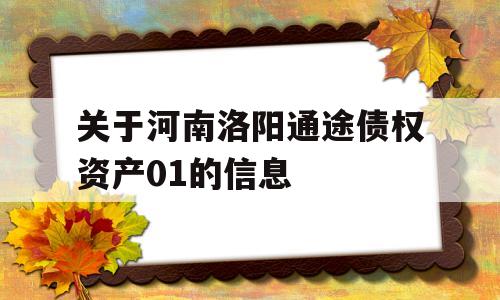 关于河南洛阳通途债权资产01的信息