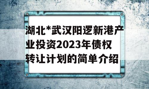 湖北*武汉阳逻新港产业投资2023年债权转让计划的简单介绍