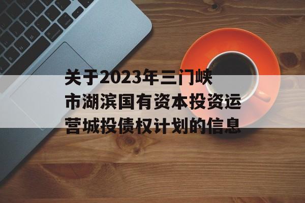 关于2023年三门峡市湖滨国有资本投资运营城投债权计划的信息