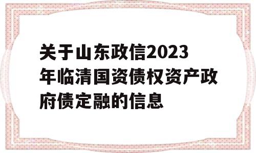 关于山东政信2023年临清国资债权资产政府债定融的信息