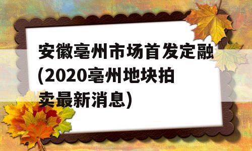 安徽亳州市场首发定融(2020亳州地块拍卖最新消息)