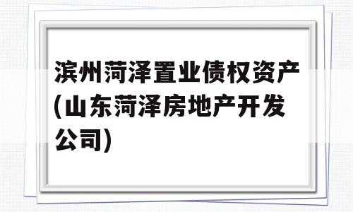 滨州菏泽置业债权资产(山东菏泽房地产开发公司)