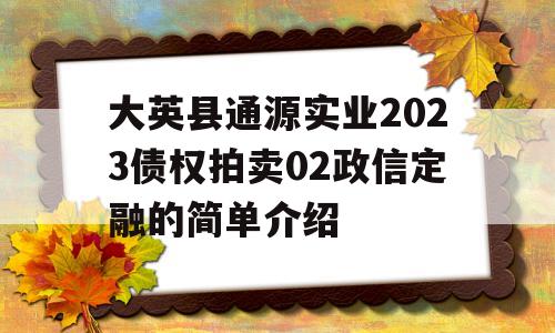 大英县通源实业2023债权拍卖02政信定融的简单介绍