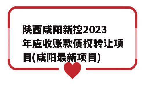 陕西咸阳新控2023年应收账款债权转让项目(咸阳最新项目)