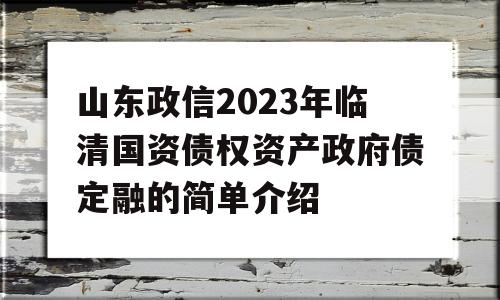 山东政信2023年临清国资债权资产政府债定融的简单介绍