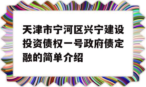 天津市宁河区兴宁建设投资债权一号政府债定融的简单介绍