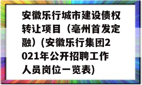 安徽乐行城市建设债权转让项目（亳州首发定融）(安徽乐行集团2021年公开招聘工作人员岗位一览表)