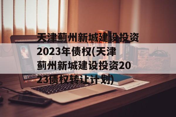 天津蓟州新城建设投资2023年债权(天津蓟州新城建设投资2023债权转让计划)