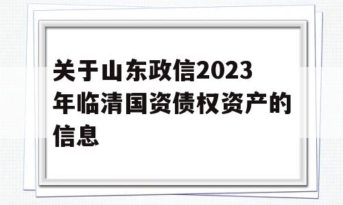 关于山东政信2023年临清国资债权资产的信息