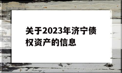 关于2023年济宁债权资产的信息