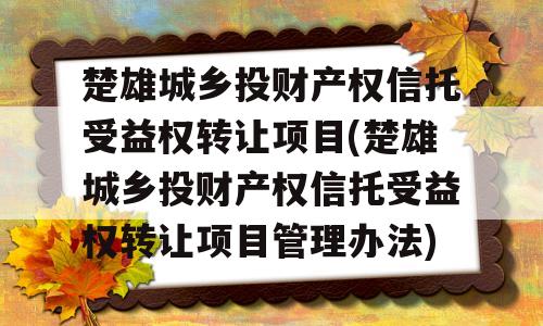 楚雄城乡投财产权信托受益权转让项目(楚雄城乡投财产权信托受益权转让项目管理办法)