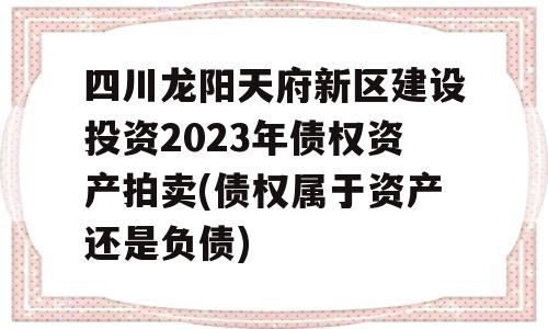 四川龙阳天府新区建设投资2023年债权资产拍卖(债权属于资产还是负债)