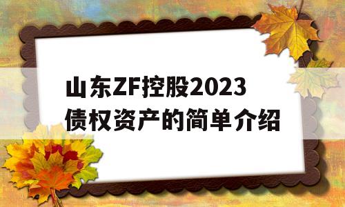 山东ZF控股2023债权资产的简单介绍