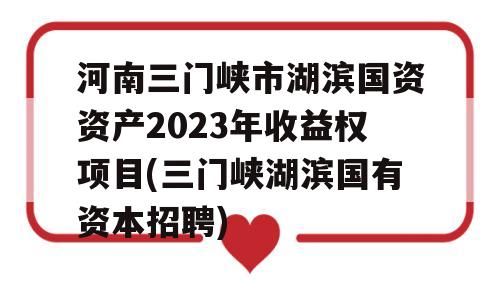 河南三门峡市湖滨国资资产2023年收益权项目(三门峡湖滨国有资本招聘)