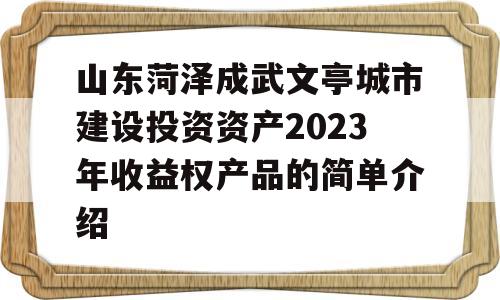 山东菏泽成武文亭城市建设投资资产2023年收益权产品的简单介绍