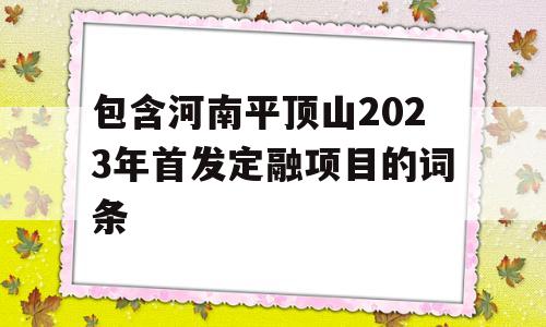 包含河南平顶山2023年首发定融项目的词条