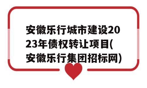 安徽乐行城市建设2023年债权转让项目(安徽乐行集团招标网)