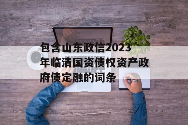 包含山东政信2023年临清国资债权资产政府债定融的词条