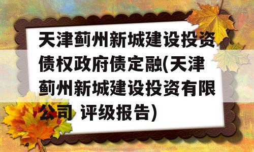 天津蓟州新城建设投资债权政府债定融(天津蓟州新城建设投资有限公司 评级报告)