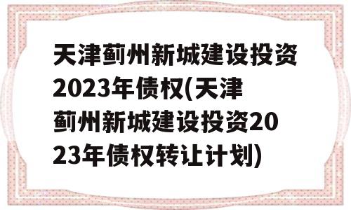 天津蓟州新城建设投资2023年债权(天津蓟州新城建设投资2023年债权转让计划)