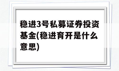 稳进3号私募证券投资基金(稳进育开是什么意思)