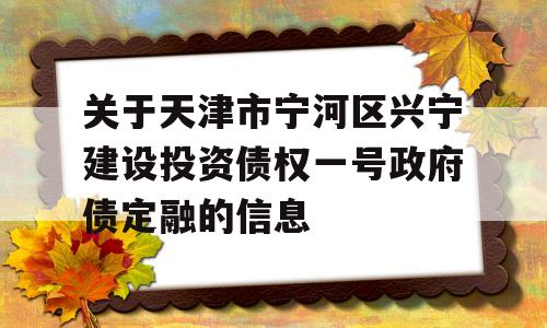 关于天津市宁河区兴宁建设投资债权一号政府债定融的信息