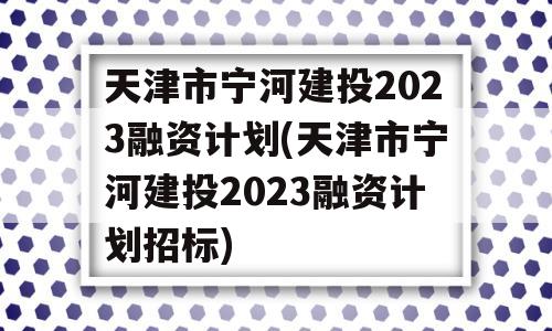 天津市宁河建投2023融资计划(天津市宁河建投2023融资计划招标)