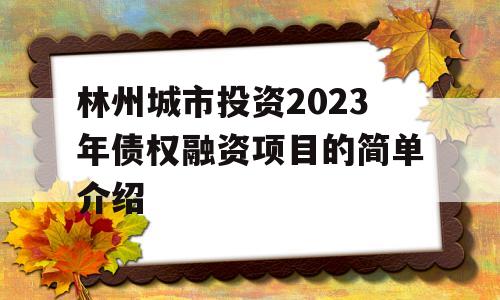 林州城市投资2023年债权融资项目的简单介绍