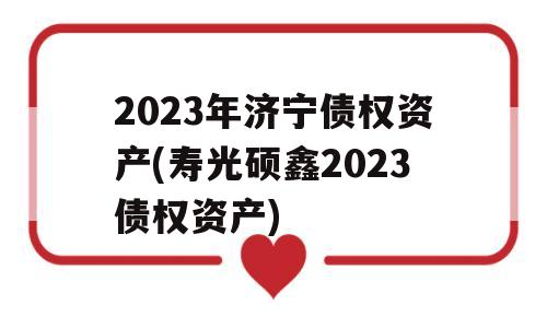 2023年济宁债权资产(寿光硕鑫2023债权资产)