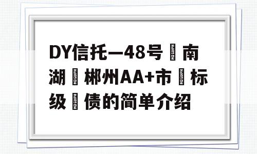 DY信托—48号‮南湖‬郴州AA+市‮标级‬债的简单介绍