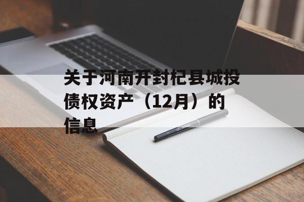 关于河南开封杞县城投债权资产（12月）的信息