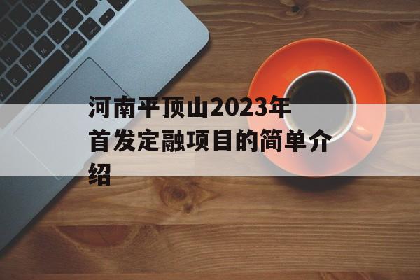 河南平顶山2023年首发定融项目的简单介绍