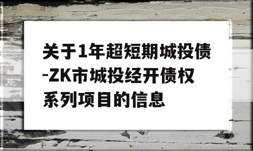 关于1年超短期城投债-ZK市城投经开债权系列项目的信息