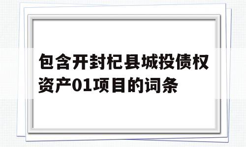 包含开封杞县城投债权资产01项目的词条