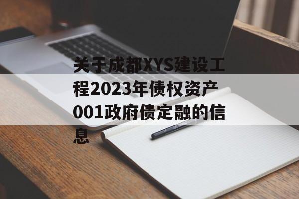 关于成都XYS建设工程2023年债权资产001政府债定融的信息