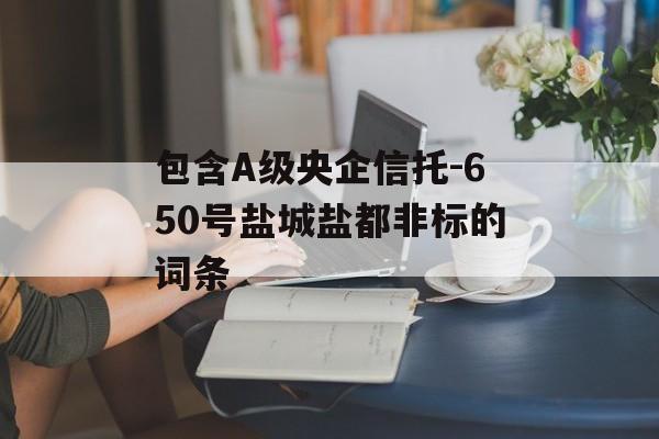 包含A级央企信托-650号盐城盐都非标的词条