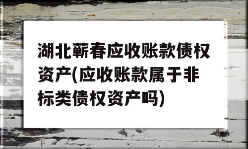 湖北蕲春应收账款债权资产(应收账款属于非标类债权资产吗)